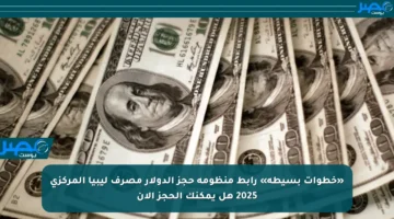 «خطوات بسيطة» رابط منظومة حجز الدولار مصرف ليبيا المركزي 2025 هل يمكنك الحجز الآن